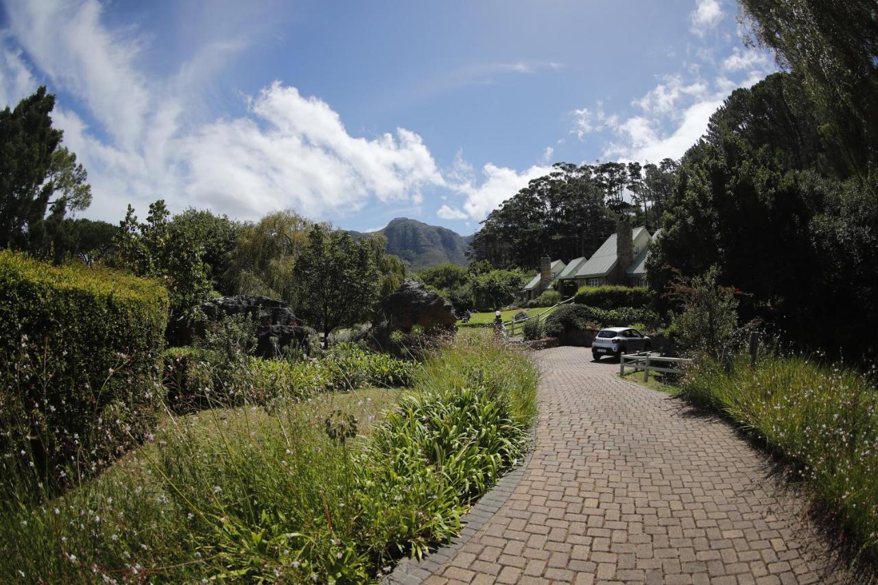 Strelitzia Cottage Cape Town Bagian luar foto