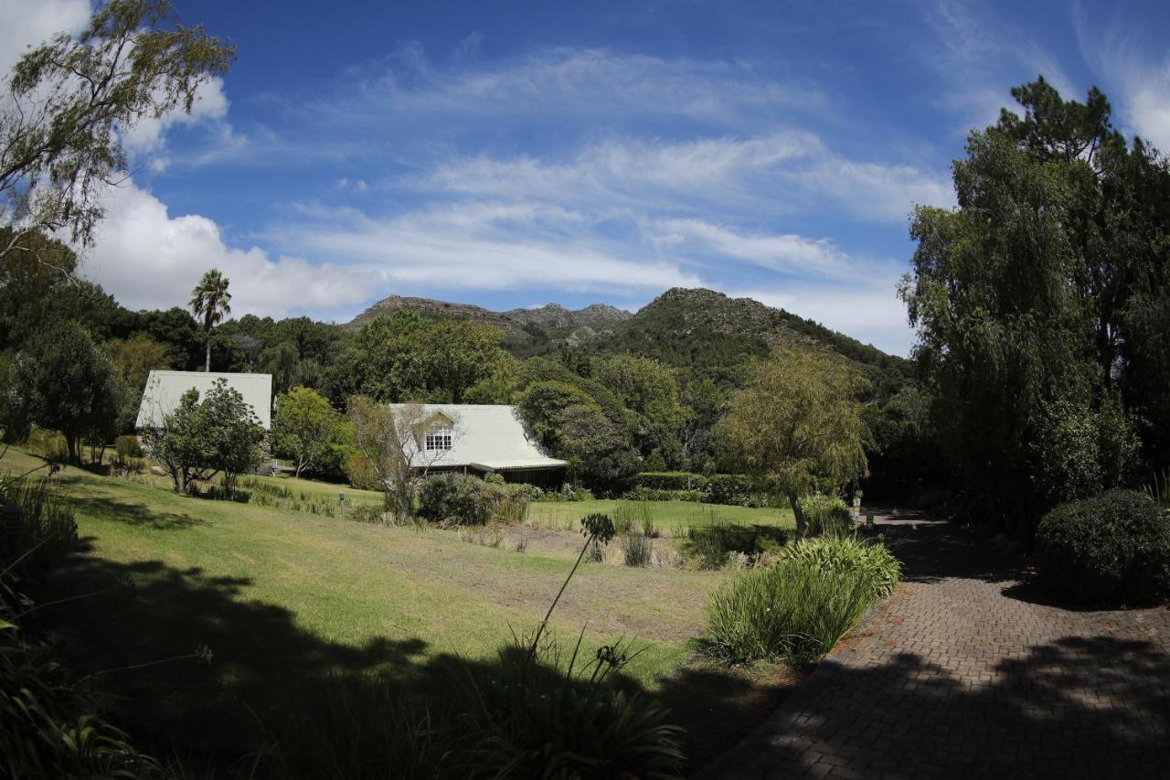 Strelitzia Cottage Cape Town Bagian luar foto