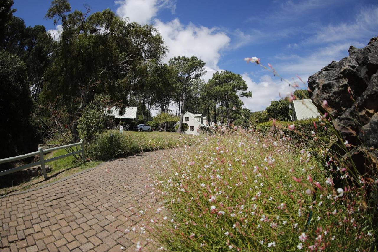 Strelitzia Cottage Cape Town Bagian luar foto