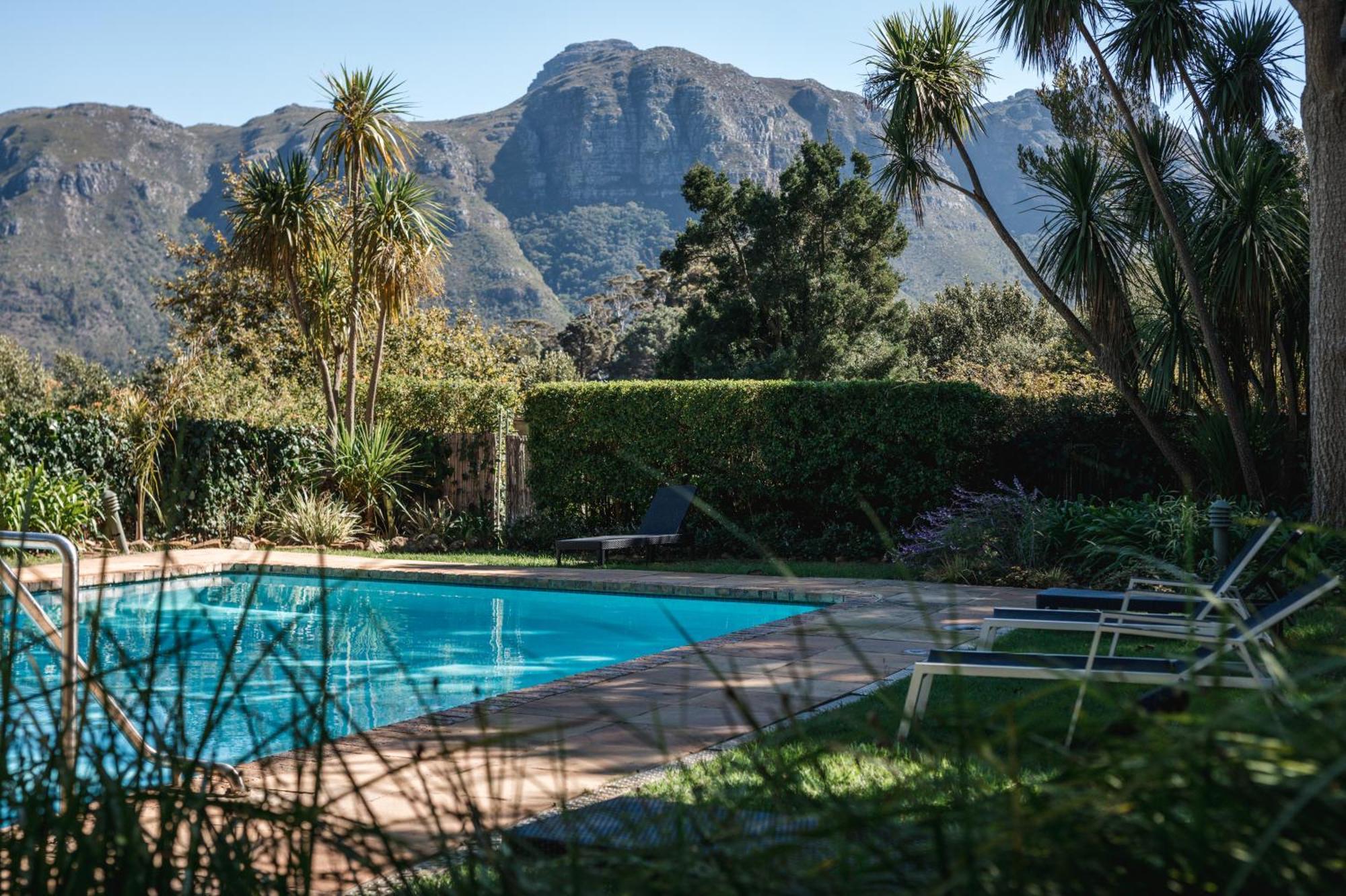 Strelitzia Cottage Cape Town Bagian luar foto