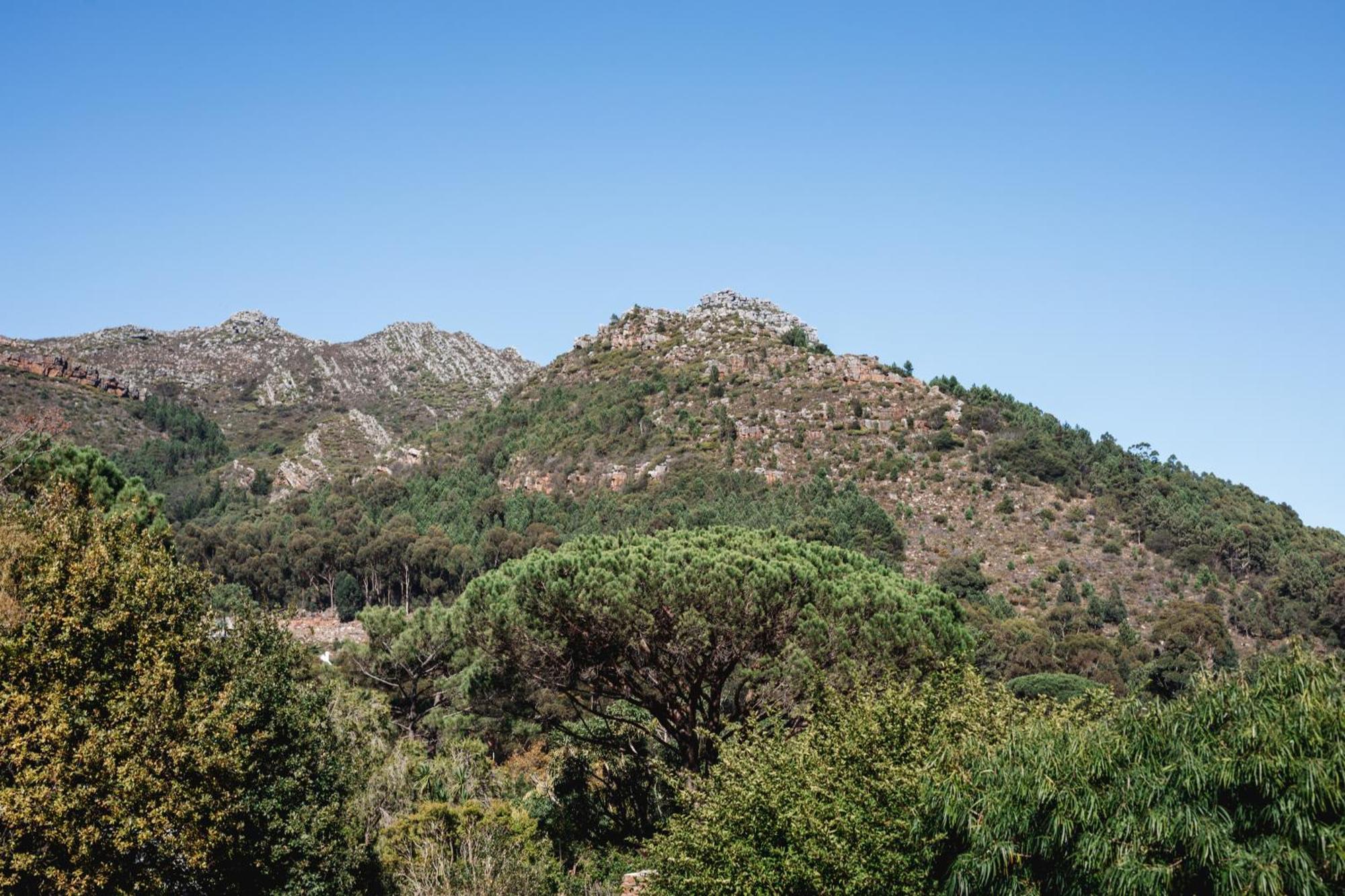 Strelitzia Cottage Cape Town Bagian luar foto