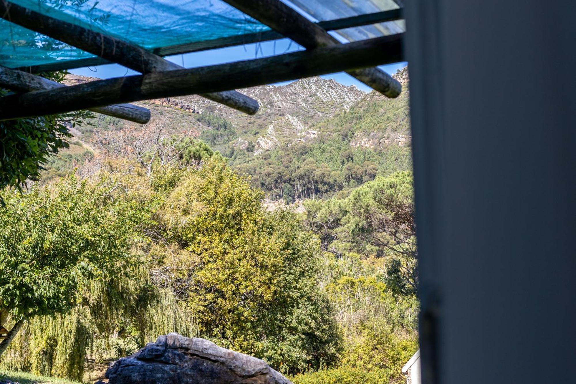Strelitzia Cottage Cape Town Bagian luar foto