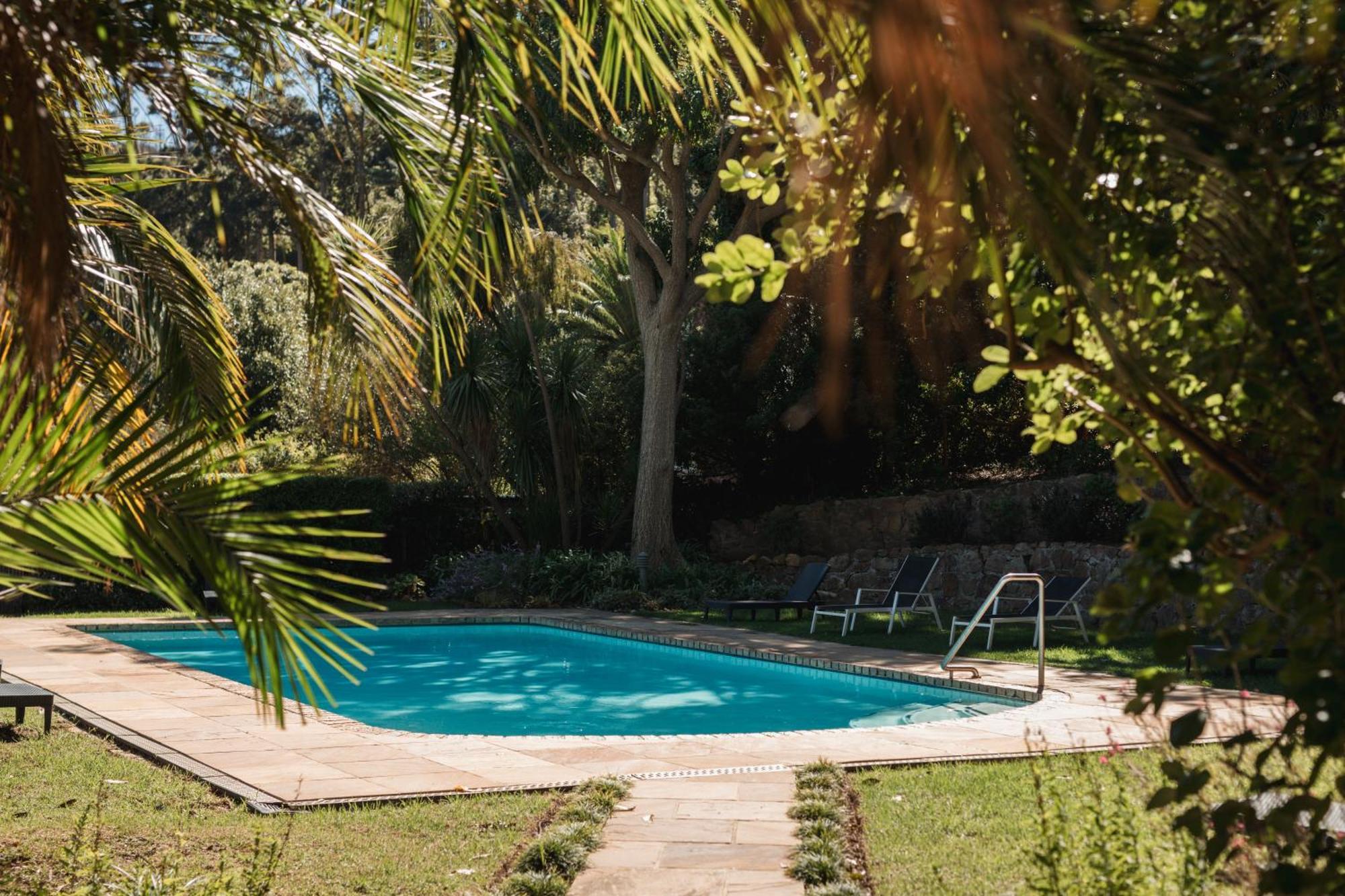 Strelitzia Cottage Cape Town Bagian luar foto