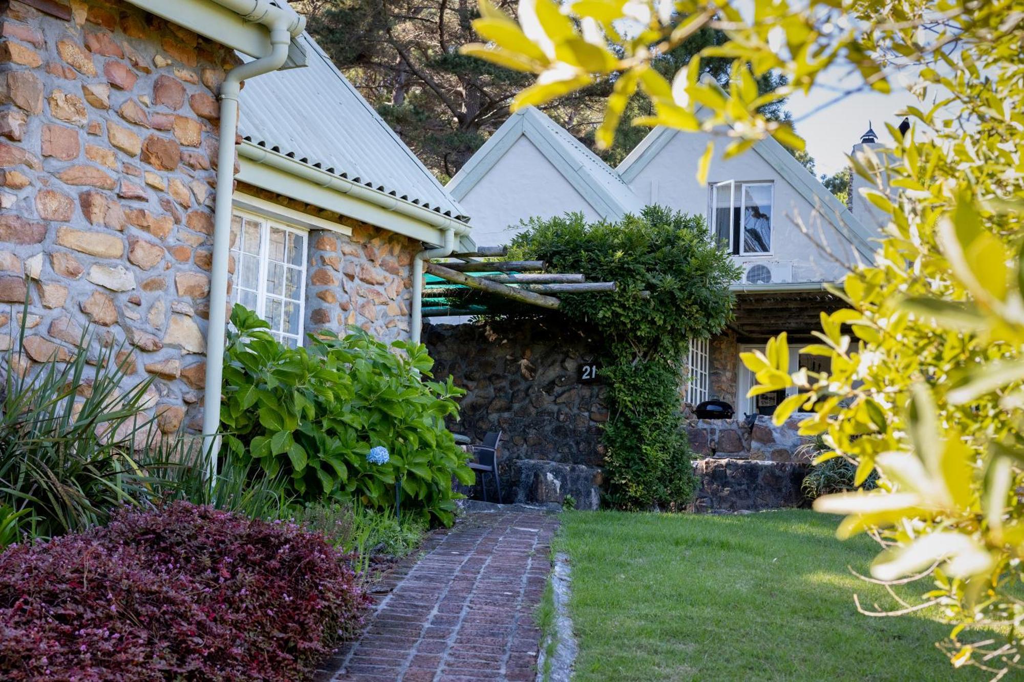 Strelitzia Cottage Cape Town Bagian luar foto
